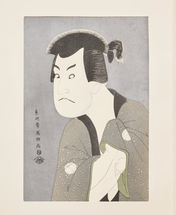 Sakata Hangorō III  as Fujikawa Mizuemon